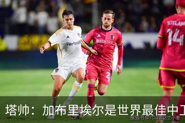塔帅：加布里埃尔是世界最佳中卫之一，他在两个禁区的作用太强了